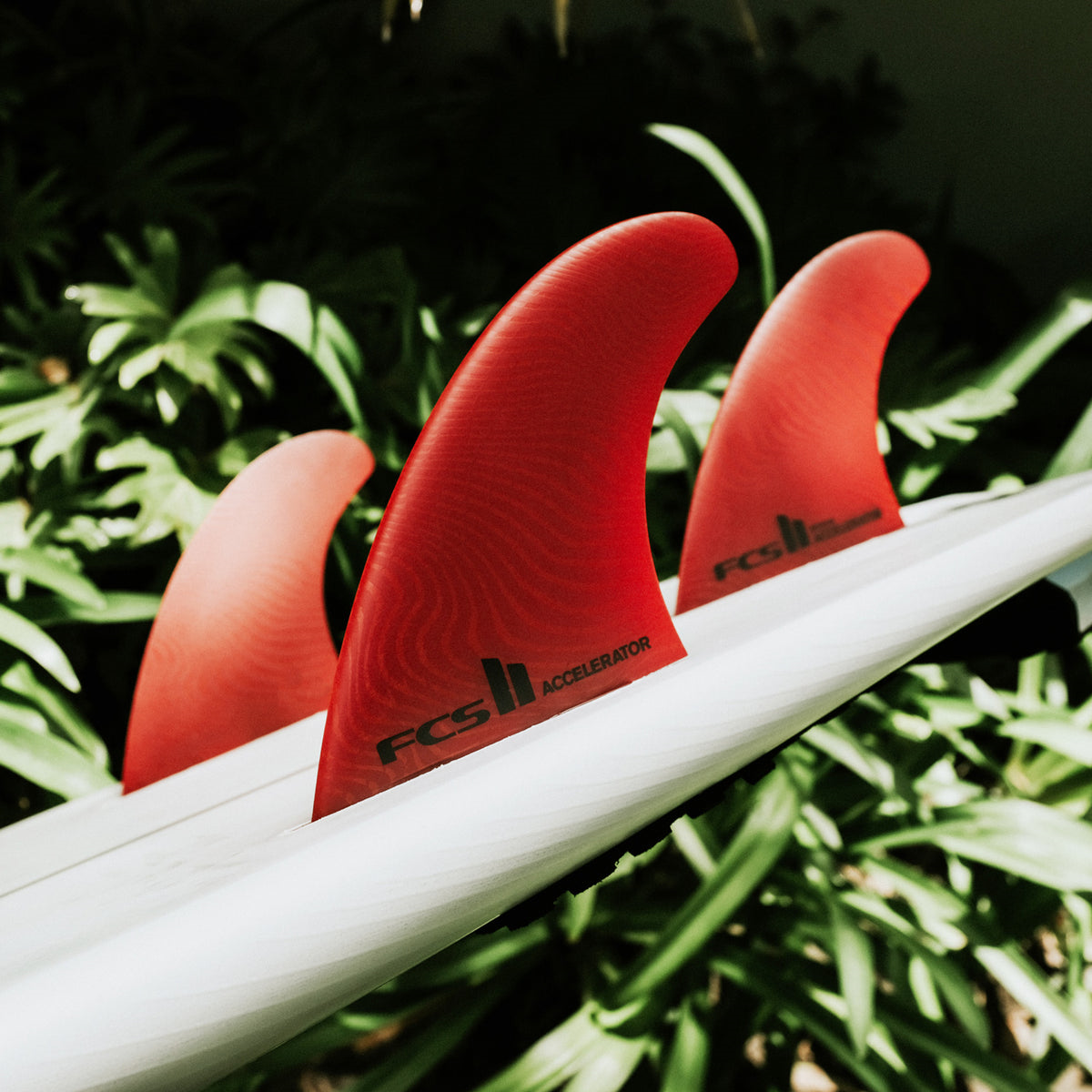 FCS II Accelerator Neo Glass Large Red Tri Fins