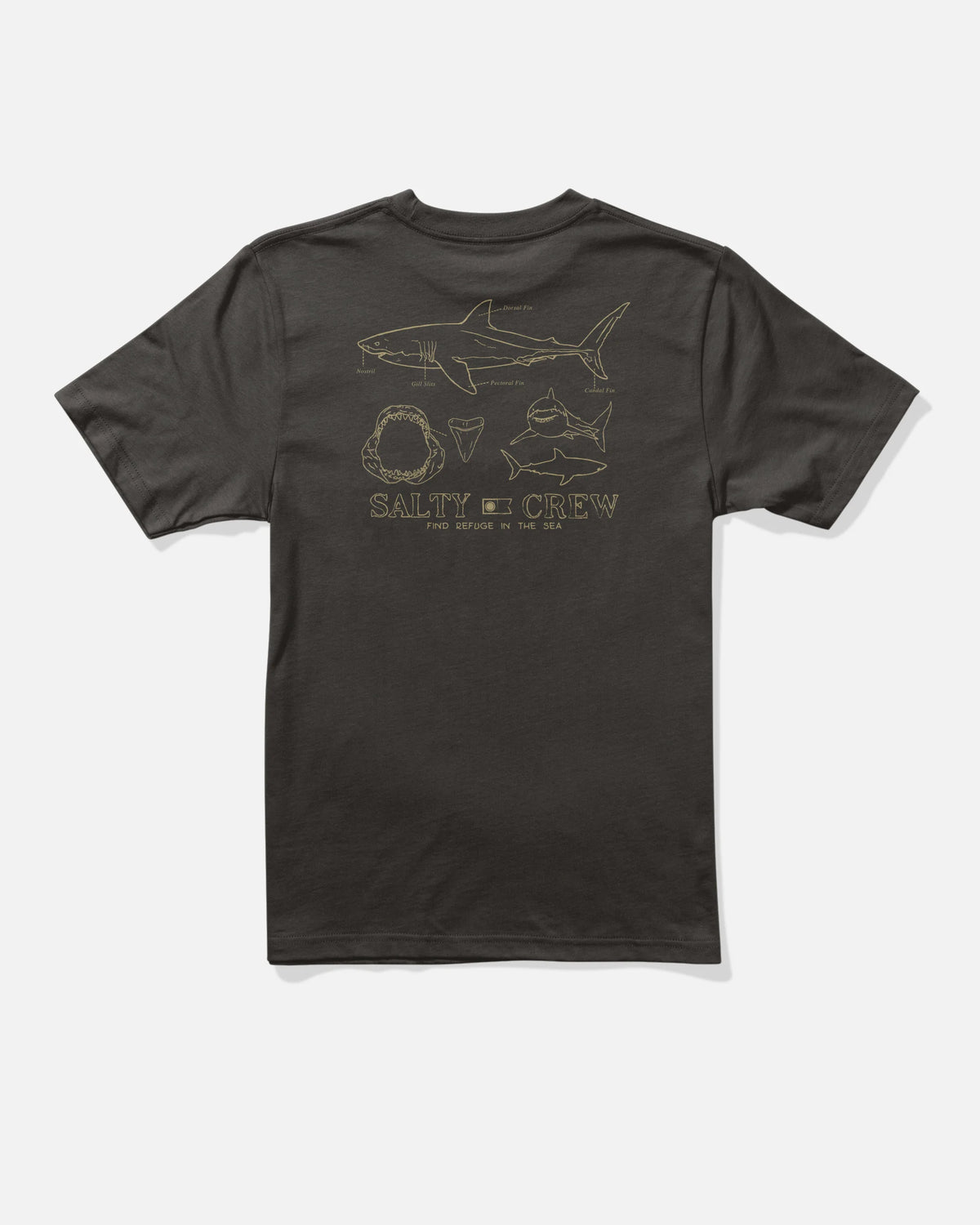 Great White Boys SS Tee